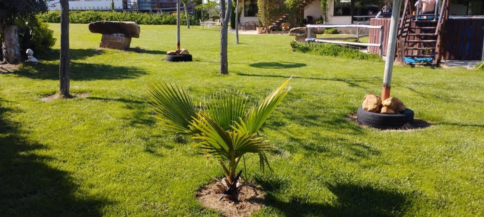 Finca Los Pajaros Cerca De Puy Du Fou Toledo Navahermosa  Exterior foto
